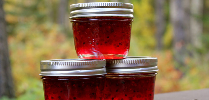 Recipes of jam from gooseberries