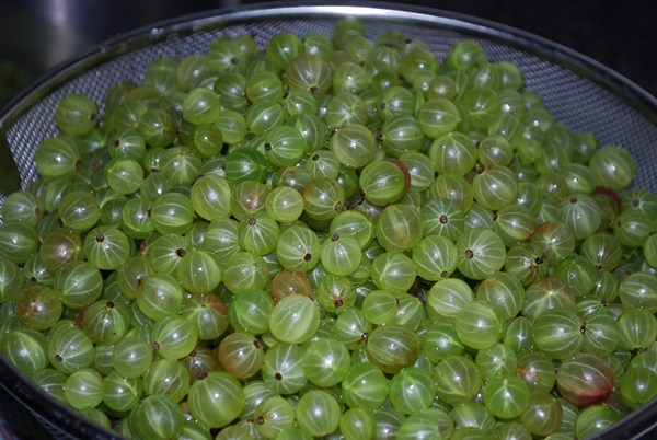 Recipes of jam from gooseberries