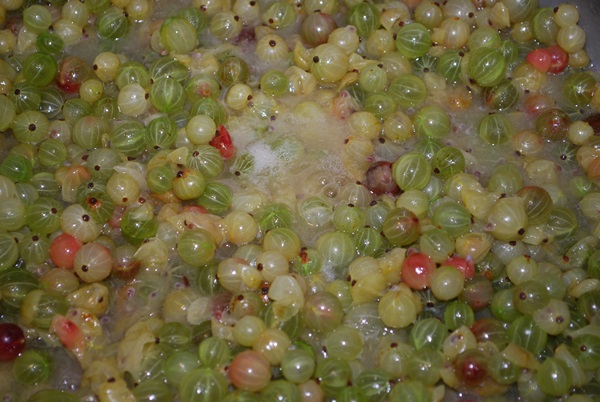 Recipes of jam from gooseberries