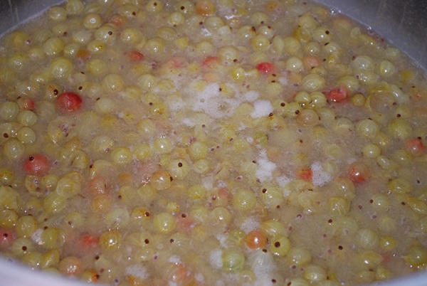 Recipes of jam from gooseberries