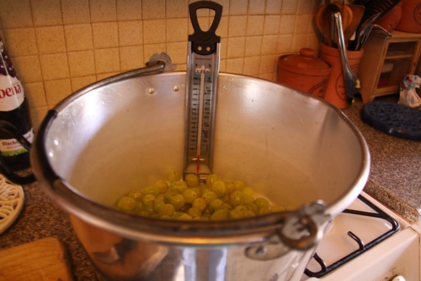 Recipes of jam from gooseberries