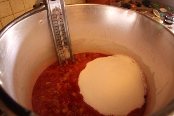 Recipes of jam from gooseberries