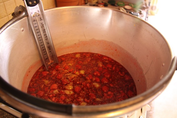 Recipes of jam from gooseberries