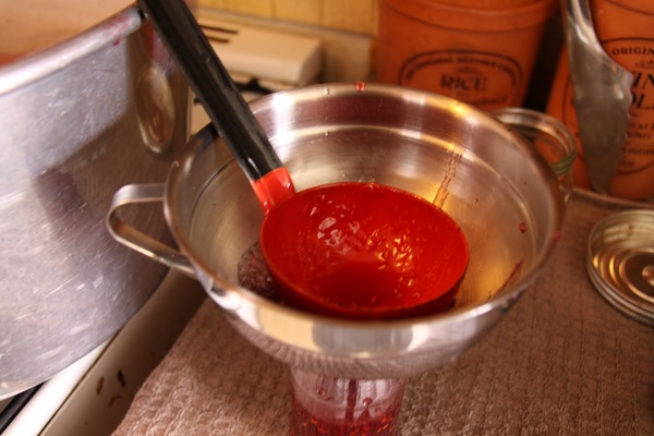 Recipes of jam from gooseberries