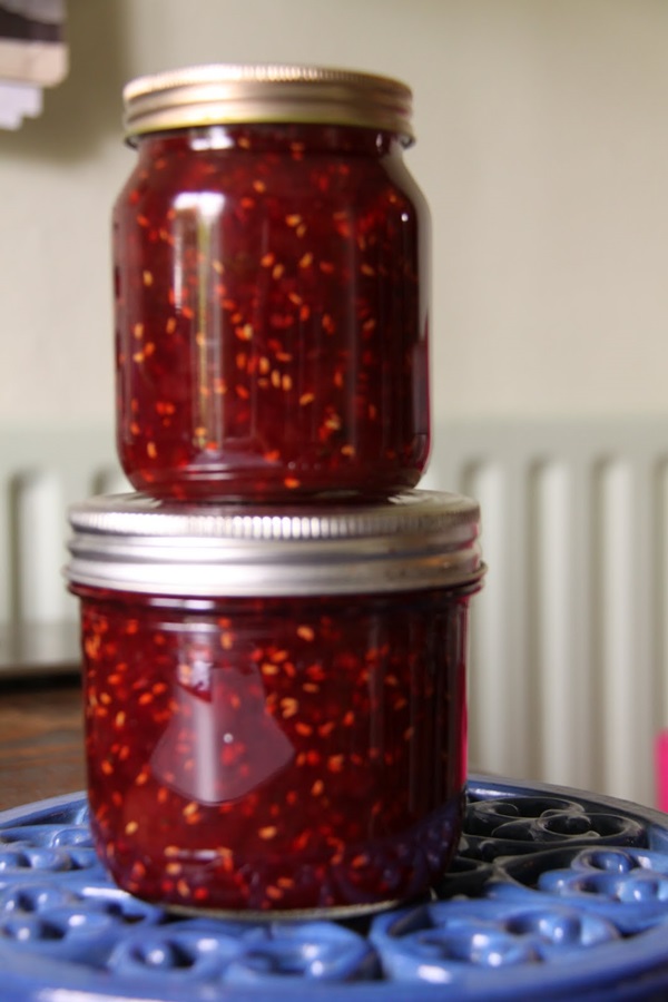 Recipes of jam from gooseberries