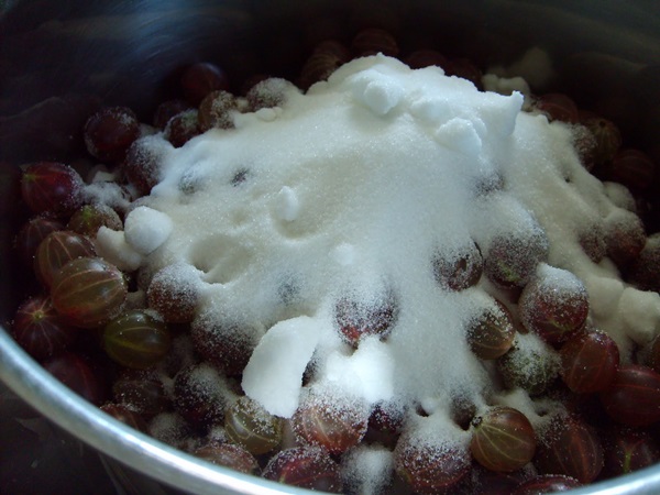 Recipes of jam from gooseberries