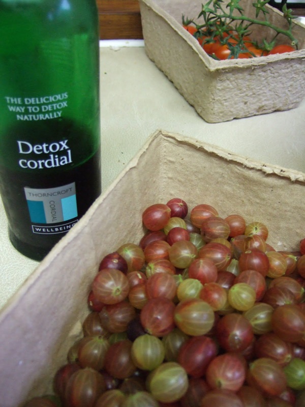 Recipes of jam from gooseberries