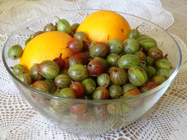 Recipes of jam from gooseberries