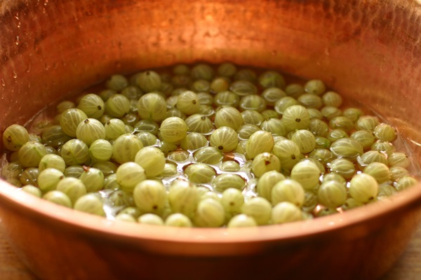 Recipes of jam from gooseberries