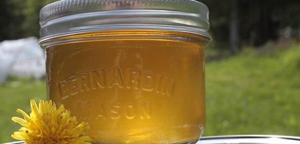 Jam and honey from dandelions with citric acid and without acid