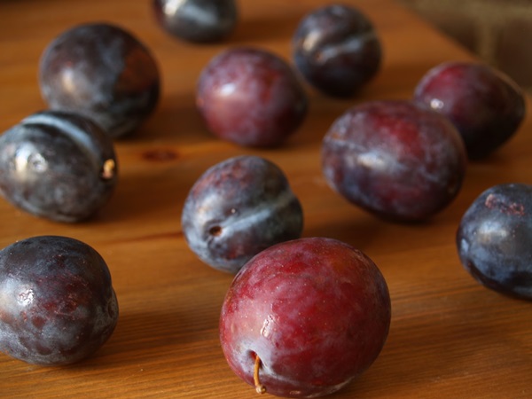 How to brew jam from a plum with a stone and pitted - simple recipes