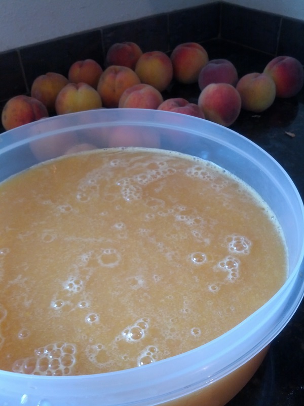 How to brew jam from a plum with a stone and pitted - simple recipes
