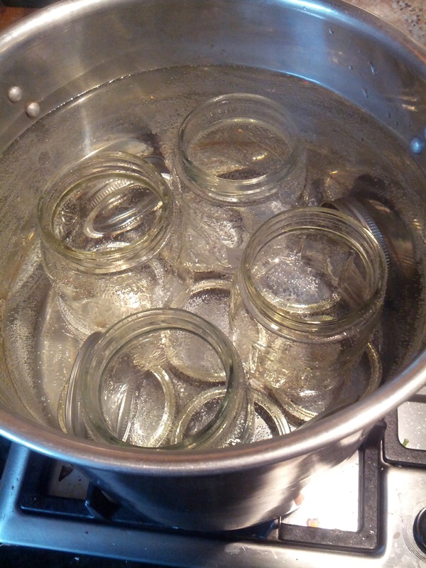 How to brew jam from a plum with a stone and pitted - simple recipes