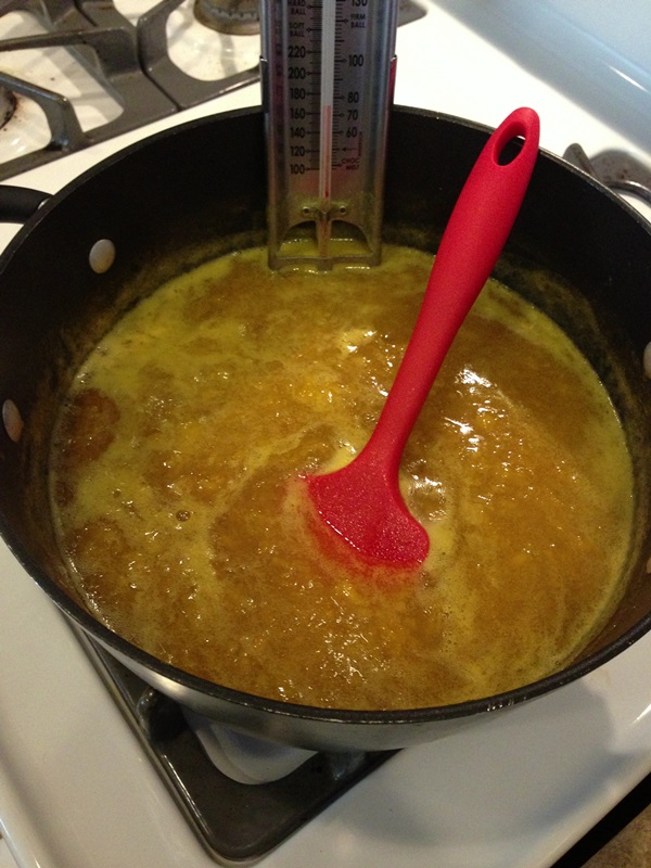 How to brew jam from a plum with a stone and pitted - simple recipes
