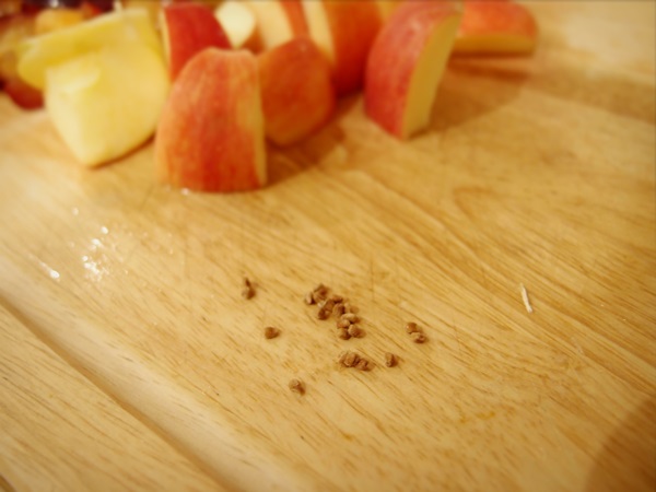 How to brew jam from a plum with a stone and pitted - simple recipes
