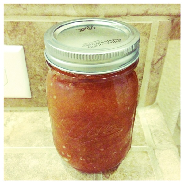 How to brew jam from a plum with a stone and pitted - simple recipes