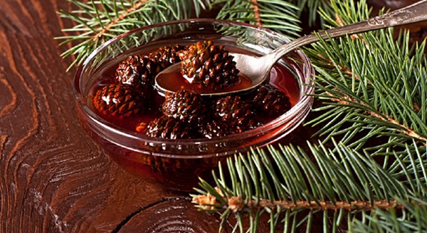 Original jam from pine cones