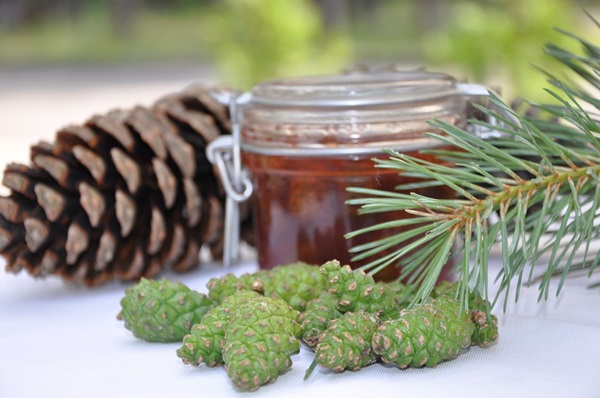 Original jam from pine cones