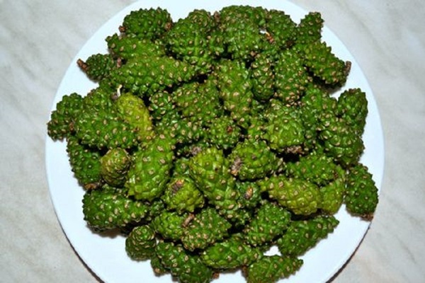 Original jam from pine cones