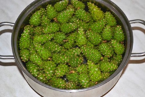 Original jam from pine cones