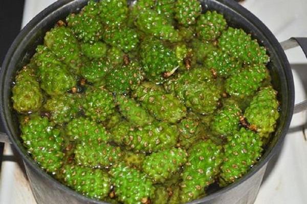Original jam from pine cones