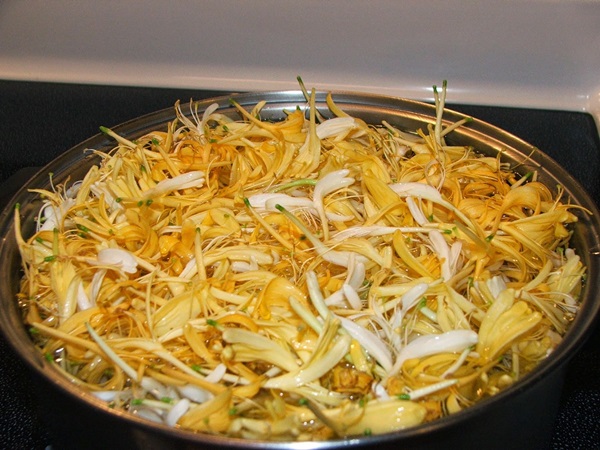 Honeysuckle jam