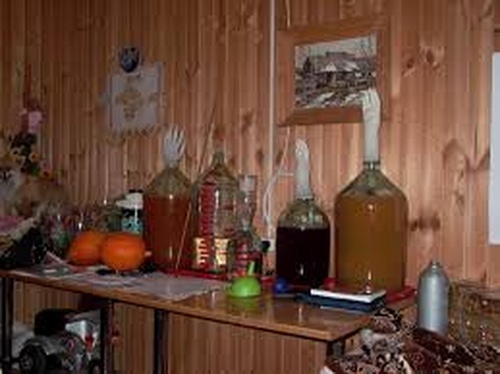 Wine made from birch sap. Old wine from birch juice, photo. Making wine from juice, recipe