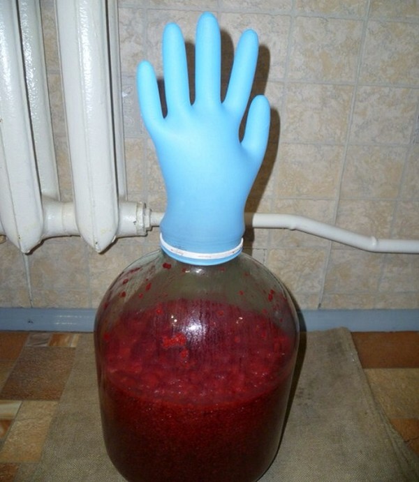 Wine from raspberry at home - simple recipes
