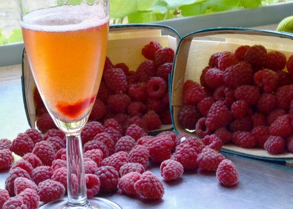 Wine from raspberry at home - simple recipes