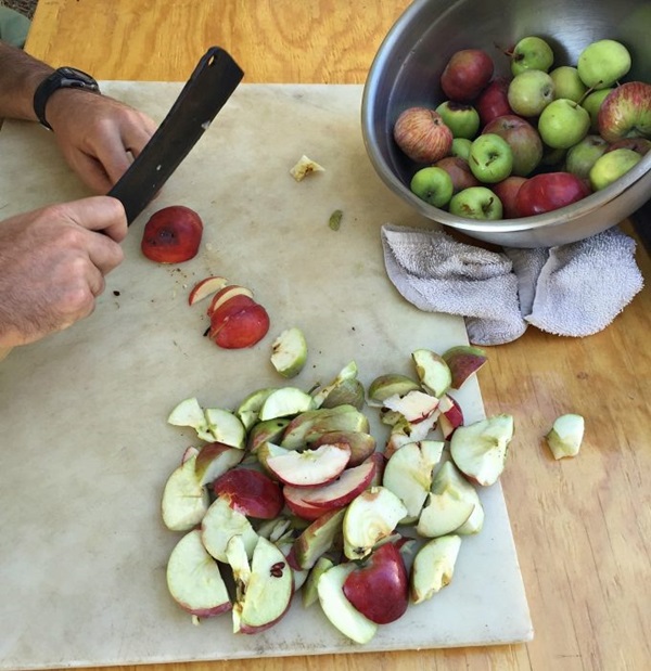 Homemade wine from apples