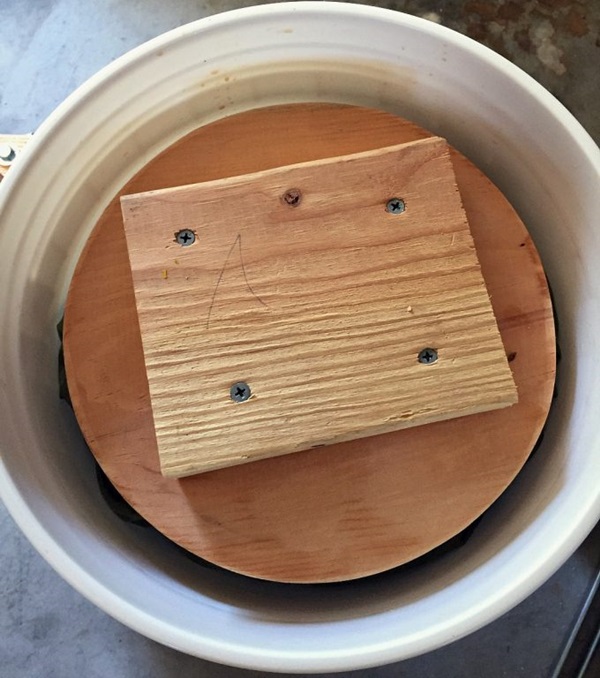 Homemade wine from apples
