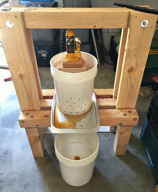Homemade wine from apples