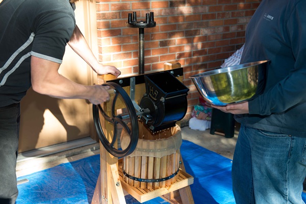 Homemade wine from apples