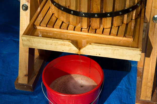 Homemade wine from apples