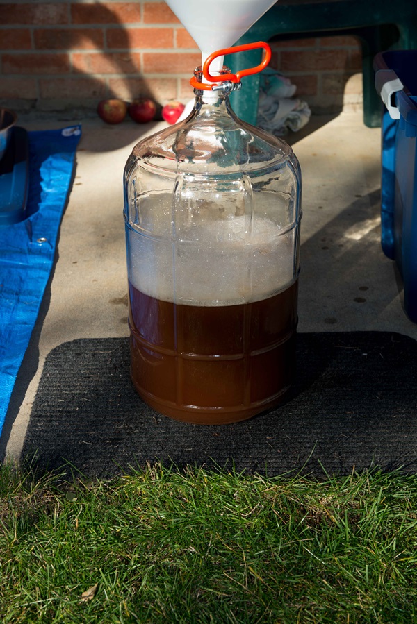 Homemade wine from apples