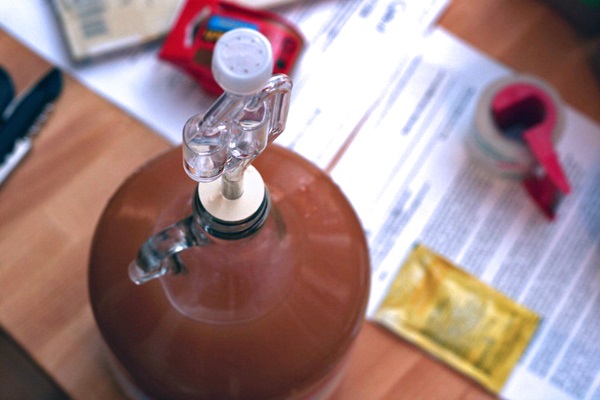 Homemade wine from apples