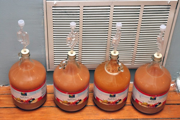 Homemade wine from apples