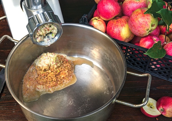 Homemade wine from apples