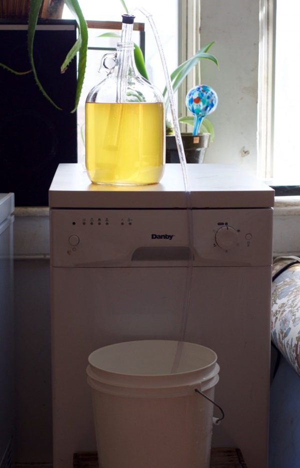 Homemade wine from apples