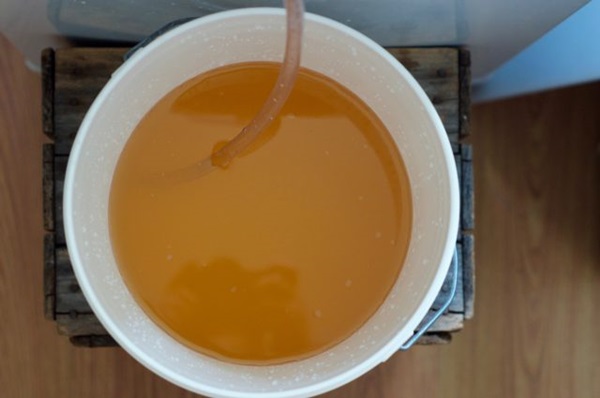 Homemade wine from apples