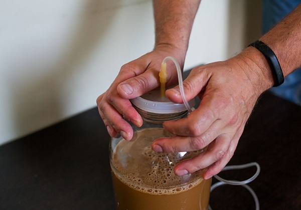 Homemade wine from apples