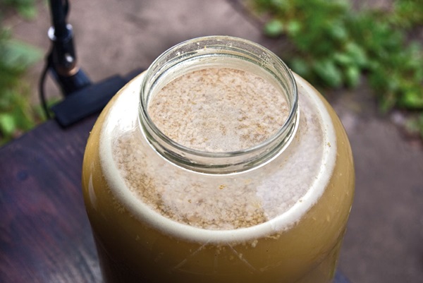 Homemade wine from apples