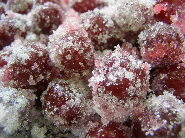 Cherries for the winter - recipes - jam with seeds and pitted, Five-minute, jam, jelly without gelatin, cherry compote