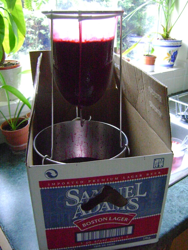 Delicious jelly from blackcurrant - recipes