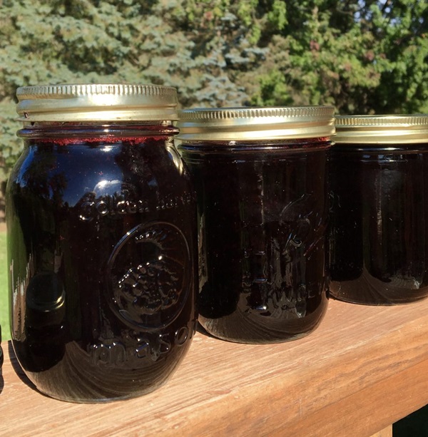 Delicious jelly from blackcurrant - recipes