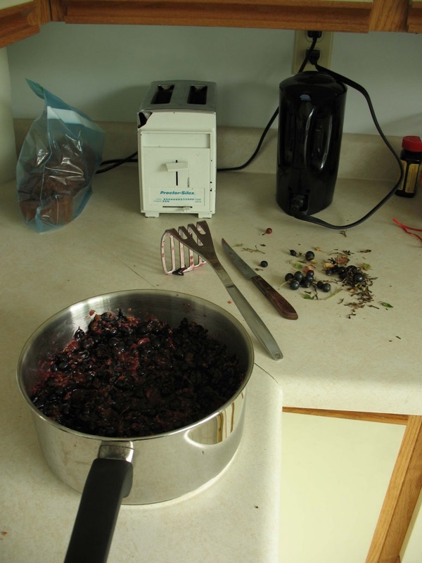 Delicious jelly from blackcurrant - recipes