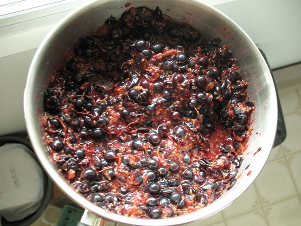 Delicious jelly from blackcurrant - recipes