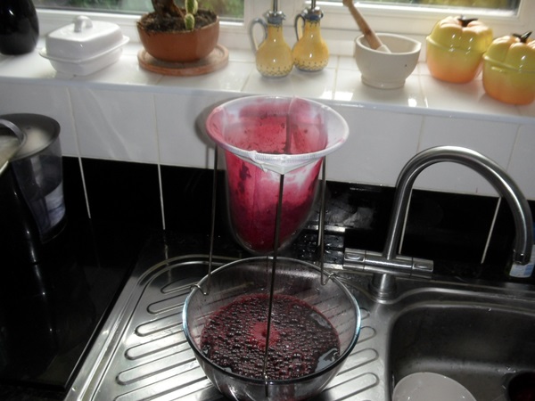 Delicious jelly from blackcurrant - recipes