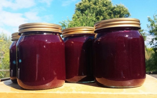 Delicious jelly from blackcurrant - recipes