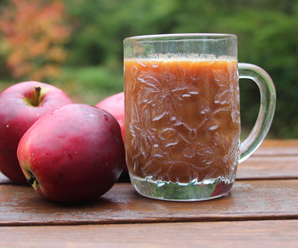 How to prepare apple juice for the winter